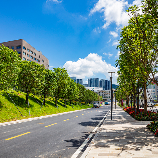 深圳大學西麗校區建設工程（二期）項目園林綠化工程